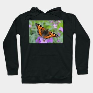 Small Tortoiseshell Butterfly Hoodie